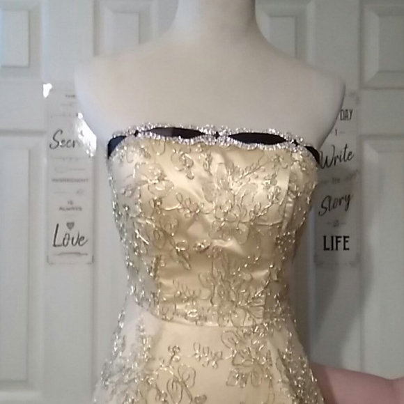 Bee Darling - Picture 3 of 7